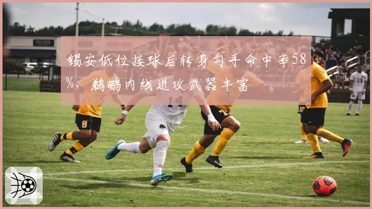 锡安低位接球后转身勾手命中率58%，鹈鹕内线进攻武器丰富