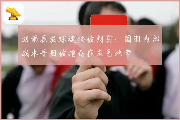 刘雨辰发球遮挡被判罚，国羽内部战术手册被指存在灰色地带