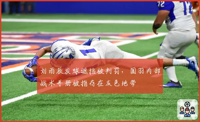 刘雨辰发球遮挡被判罚，国羽内部战术手册被指存在灰色地带